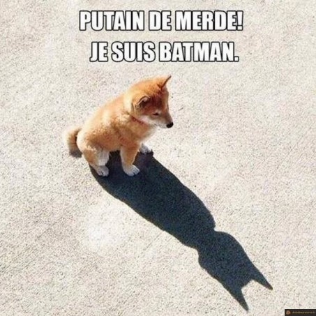 Merde, je suis batman