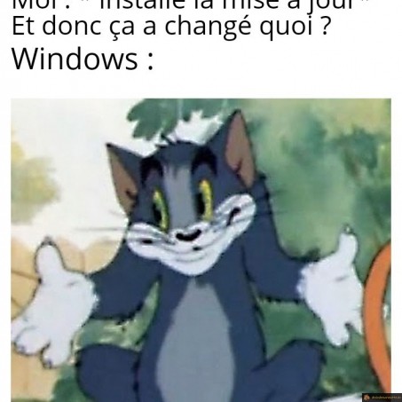 Mise à jour Windows