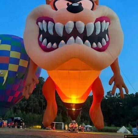 Montgolfière Taz
