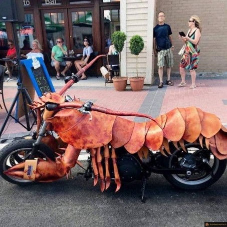 Moto homard
