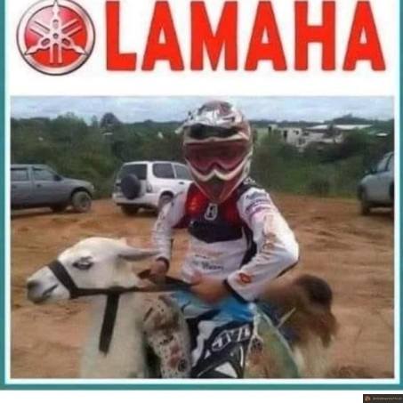 Moto Lamaha