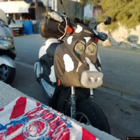 Moto vache