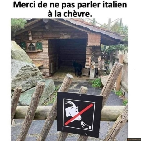 Ne pas parler italien aux chèvres