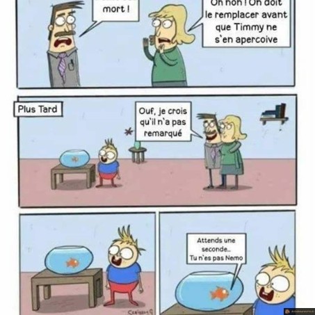 Nemo est mort