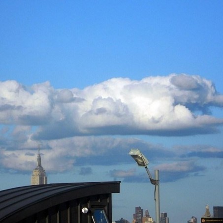 Nuage chien