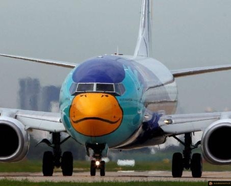 On joue à Angry birds en vrai?