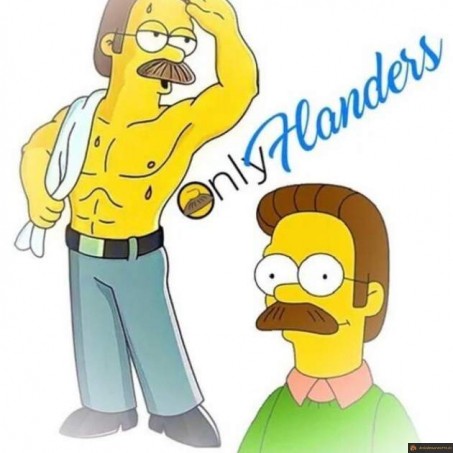 OnlyFlanders