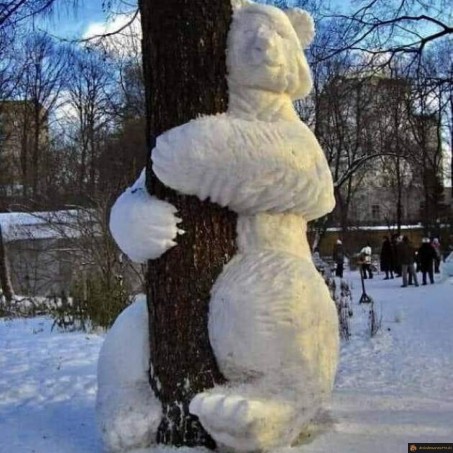 Ours de neige