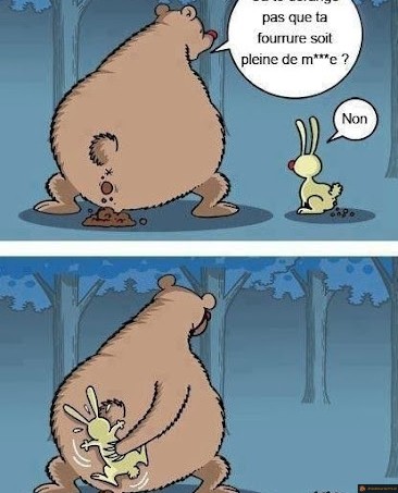 Ours et lapin