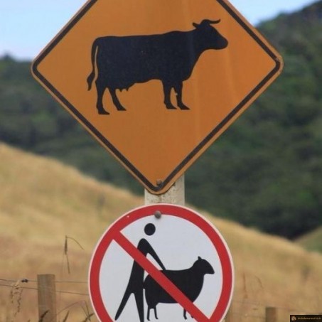Panneau explicite mouton