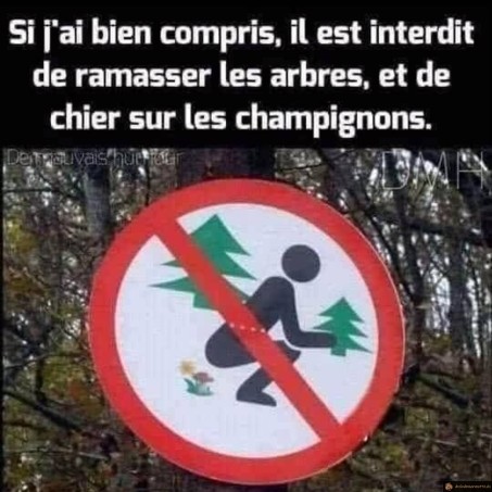 Panneau forêt