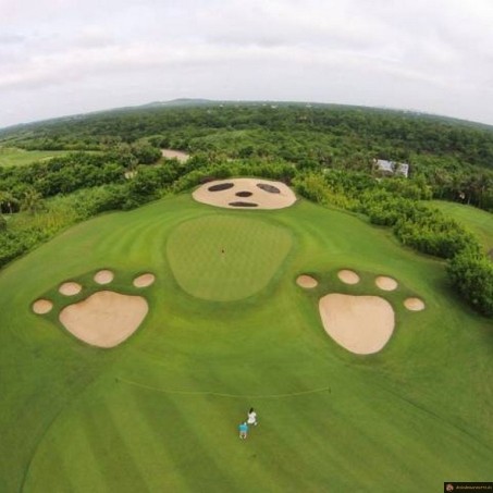 Parcours de golf panda