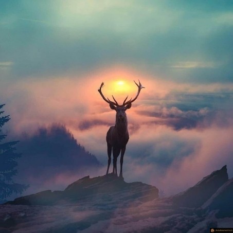 Parfait timing avec le soleil