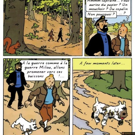 Pauvre milou