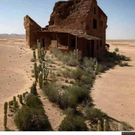 Paysage cowboy