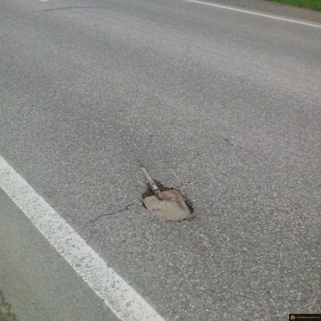Pelle sur la route