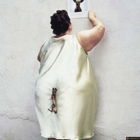 Perdu kiki