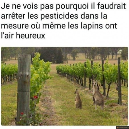 Pesticides et lapins