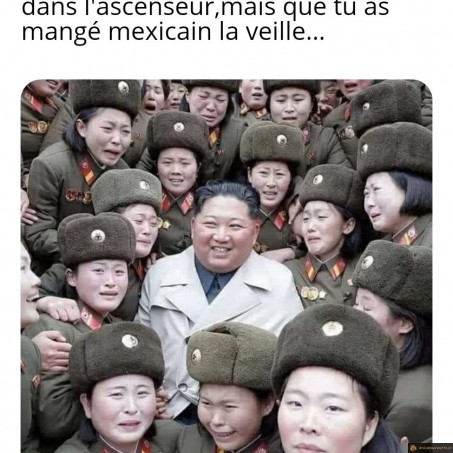 Pet silencieux dans l'ascenseur