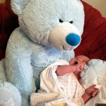 Peur de l'ours bleu