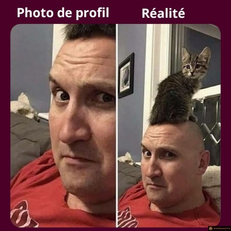Photo de profil vs réalité
