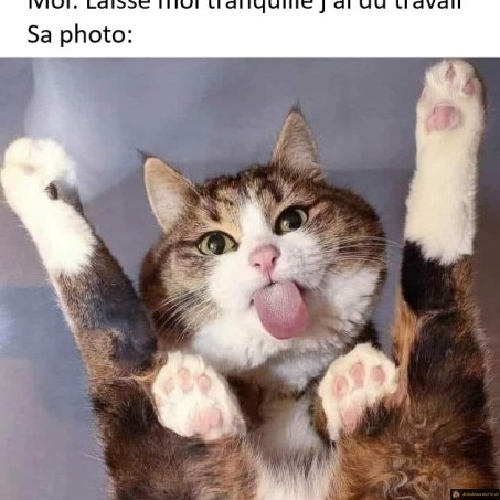 photo pendant le travail
