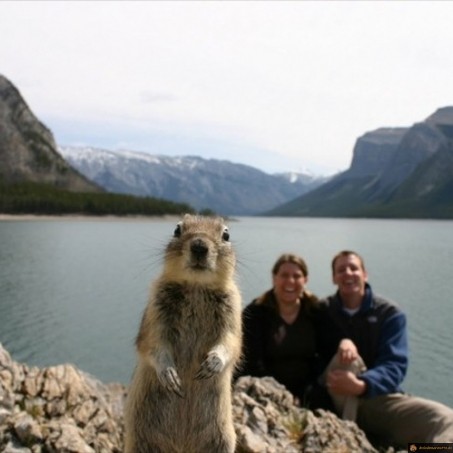 Photobomb magique