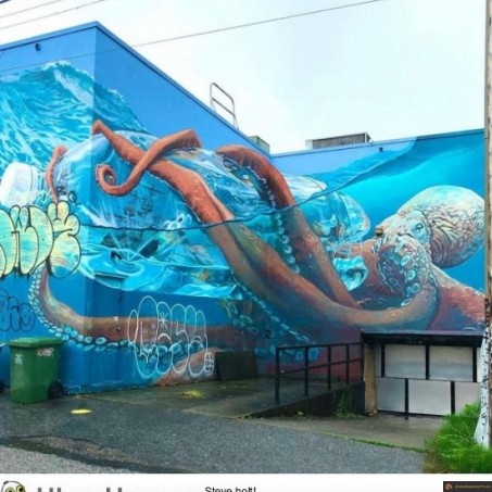 Pieuvre en graf