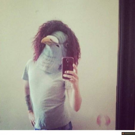 Pigeon insta