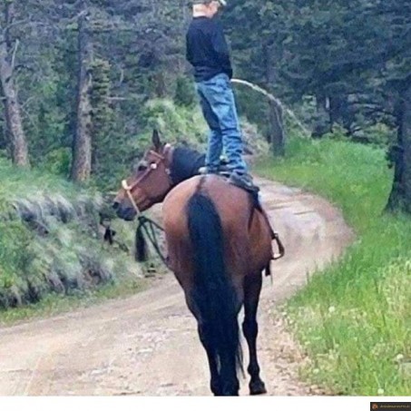 Pisser à cheval
