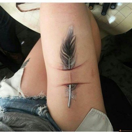 Plume sous la peau