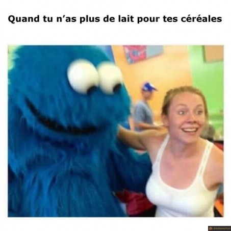 Plus de lait