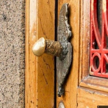 Poignée penis