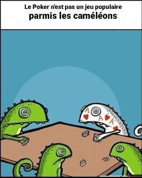 Poker chez les caméléons