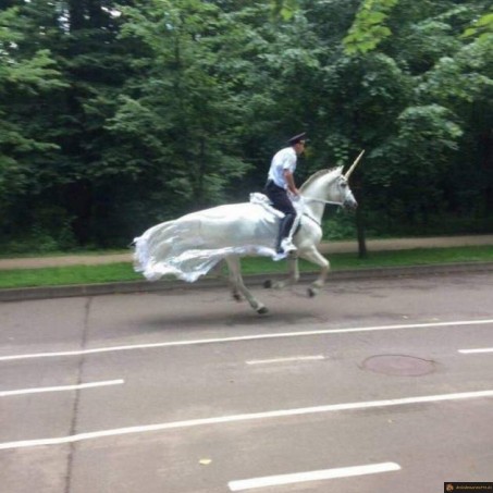 Policier en licorne
