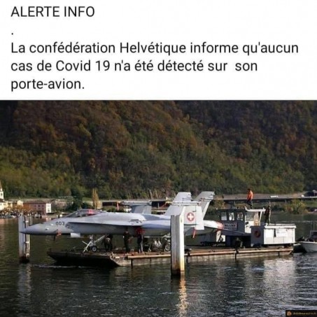 Porte avion suisse