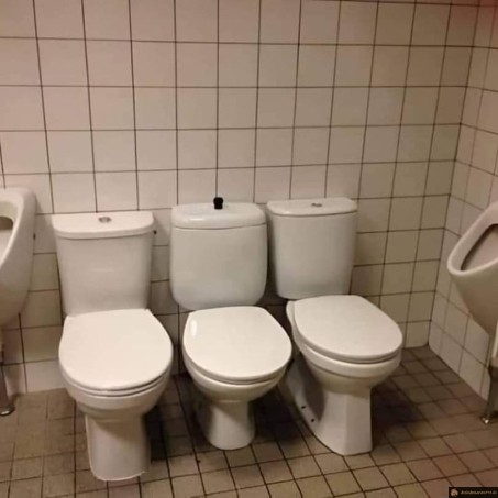 Pour aller au wc en groupe