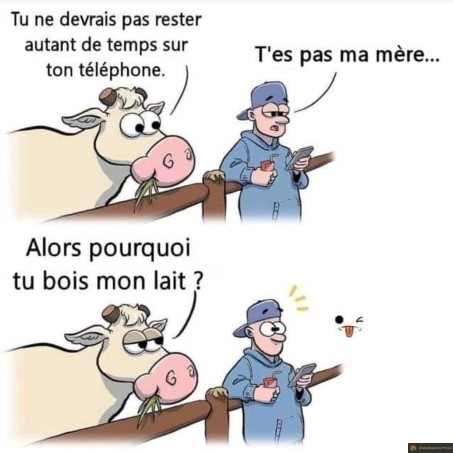 Pourquoi tu bois mon lait?
