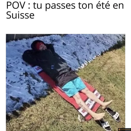 POV tu passes ton été en suisse