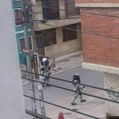 Predator dans la rue
