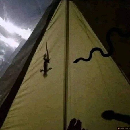 Première et dernière fois en camping