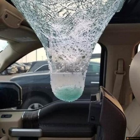 Presque un aquarium