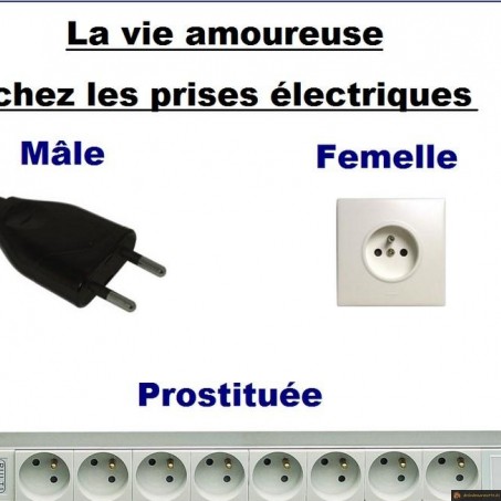 Prise électrique