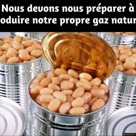 Produire notre propre gaz naturel