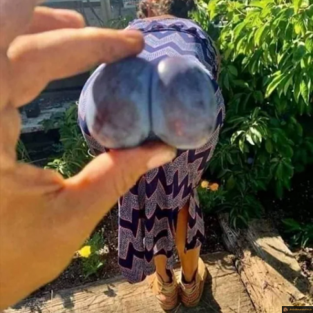 Prune fesses
