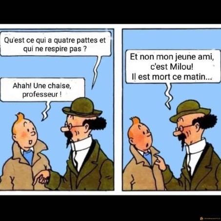 Qu'est-ce qui a 4 pattes et qui ne respire pas