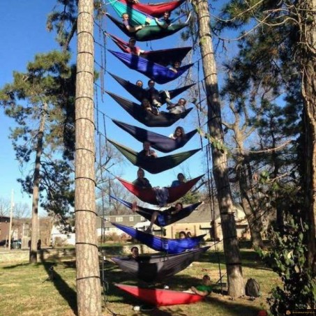 Quand il y a que 2 arbres en camping