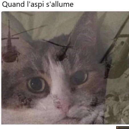 Quand l'aspi s'allume