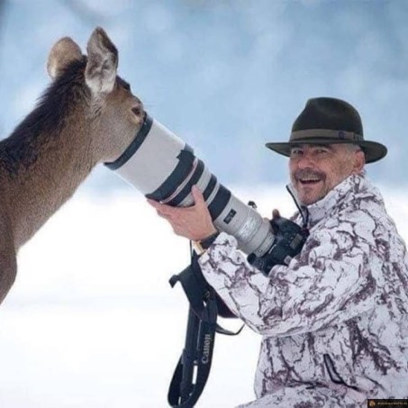 Quand le photographe demande de se rapprocher
