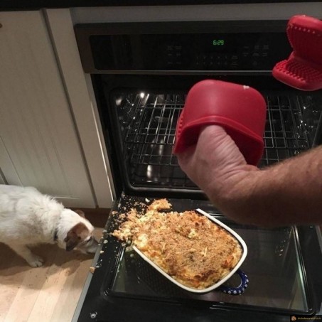 Quand le plat lache en sortant du four